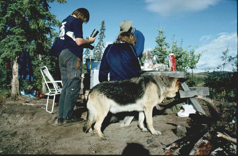 ../Images/043Camping am30mlsRiver.jpg